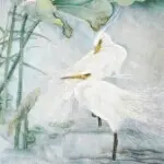 小李兵哥V3