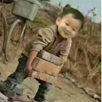 书香伴雅