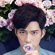 ZC左辰