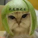 ：万里挑一：