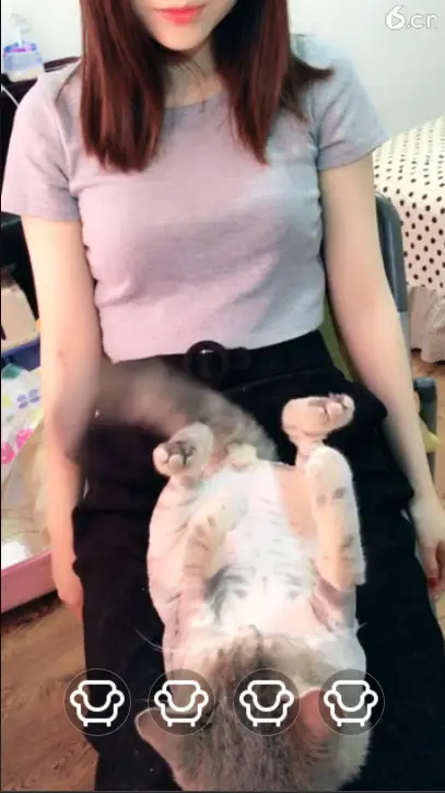 高級親蜜的图片