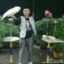 我的老家是香港的