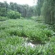 ★果然★