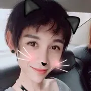 傻不傻？小狐狸