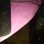 枫叶513