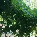 《珍惜时间珍惜人生》