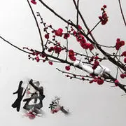 梅香独泪