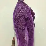 白菜炖粉条谁吃谁爱我
