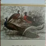 我哥奋斗