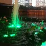 随缘npd