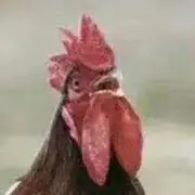 你不主动咱没故事