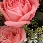 已不是本人😊