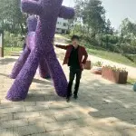 二号男佳宾
