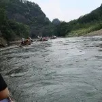 牛牛的守护神