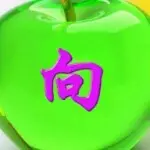 风里☔️里我在等你