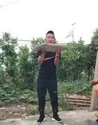 二、虎