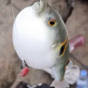水浒无悔：