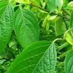 昵称违规，请重新修改