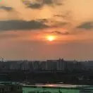 益益d