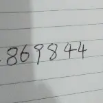 张露丹111海报