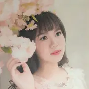 鱼丸❤停播