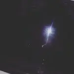 法斗爱上斯芬克斯