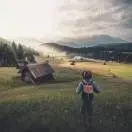 柳暗花明又一景