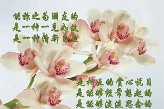💕爱你💕开心💕的主播照片