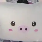 新人21😌