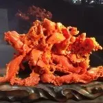 色咪咪大眼睛