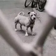 喜欢黎明前的安静
