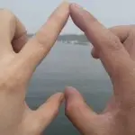 ︶﹌⋛♉狼♉⋚﹌︶
