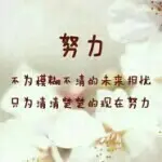 木子-先生