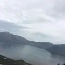 不问凡事123