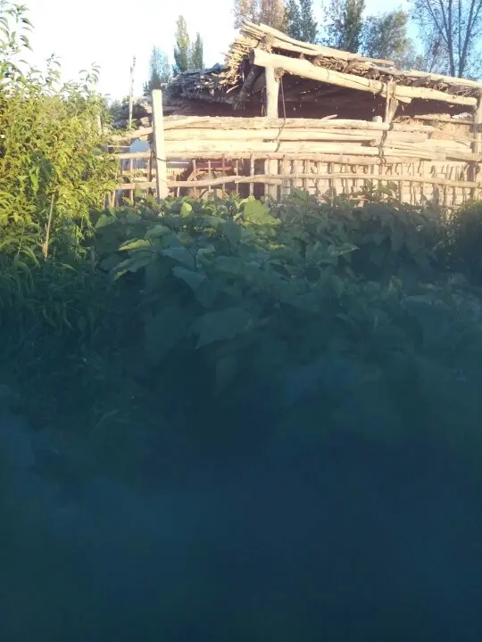 边疆老农的主播照片