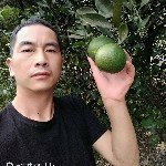 良晓哥上班没有时间玩主播照片