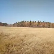 往事重新开始