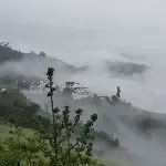 静静地欣赏你的美
