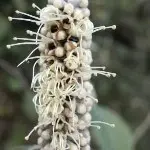 宁静致远~A