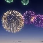 股市神鸟