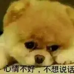 天使也会哭z2