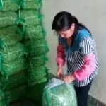 我是邓细群