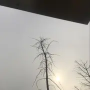欣赏S大哥