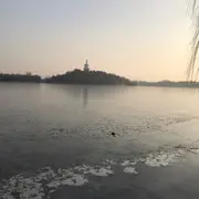 无语♛
