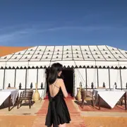 露露已停播
