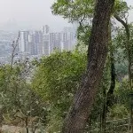 来去匆匆🌴🌴🌴