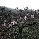 喜欢坐高铁