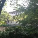 宝贝执着