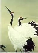 ☜君無名☞