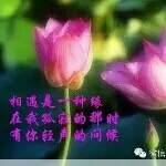 须度了时光